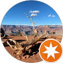 Xavier LEPAGE profile picture